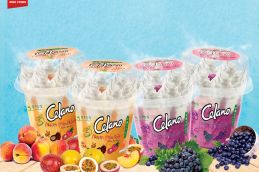 KDF achieves 17 per cent revenue growth as ice-cream sales zoom Smoothie