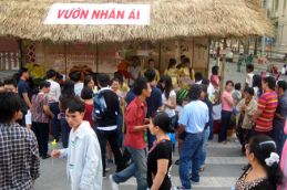 Đường Hoa, Lòng Hoa 1601 Thumb